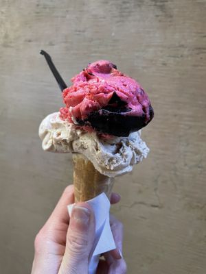 hazelnut and raspberry/dark choc on cone!  at Gelatoteca SuSo in Venice