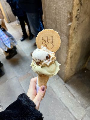 Best ice cream I ever had in my life! The flavors on picture are ultimate pistachio and noce & fico (walnuts and figs-I had to come back and have it three times cause it’s SOO go at Gelatoteca SuSo in Venice