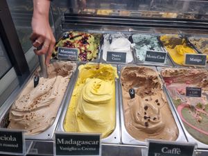 Clearly labelled vg options at Gelatoteca SuSo in Venice