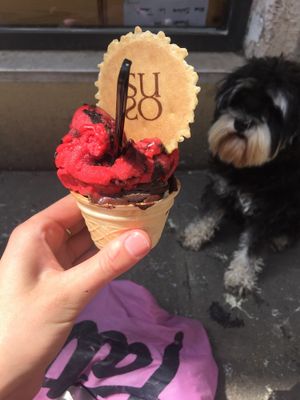 Super friendly staff and very nice ice cream at Gelatoteca SuSo in Venice