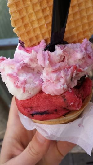 vegan and nero nota (not sure if it's the right name but something like this...) at Gelatoteca SuSo in Venice