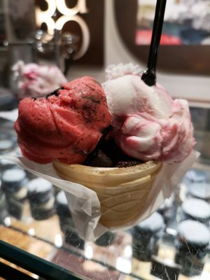 Vegan at Gelatoteca SuSo in Venice