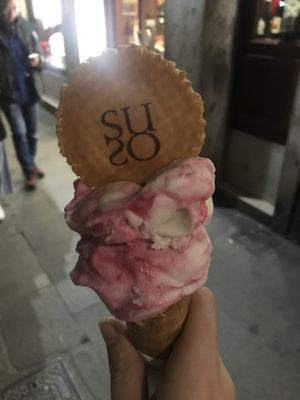 Vegan ice cream  at Gelatoteca SuSo in Venice