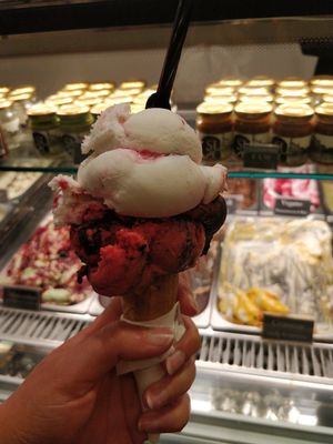Vegan at Gelatoteca SuSo in Venice