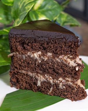  at Taller Veganico in Monterrey