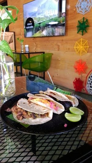 Tacos oatmeal tortillas at Taller Veganico in Monterrey