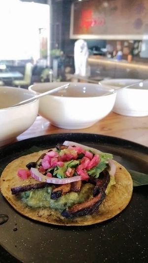 Chicharrón de Shiitake at Taller Veganico in Monterrey