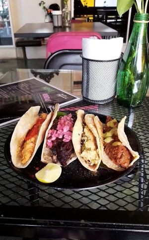 Taquitos de guisos at Taller Veganico in Monterrey