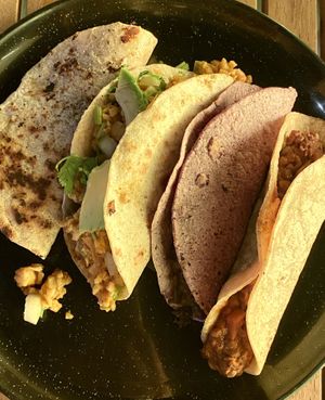 Tacos 🌮🇲🇽 at Taller Veganico in Monterrey