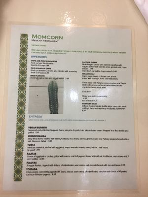 VEGAN Menu  at Momcorn in Gurnee