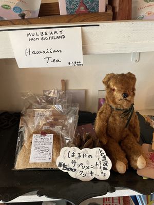 Vegan cookies  at Padma in Kyoto