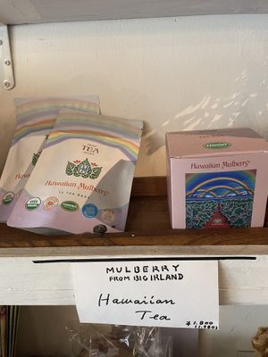 Tea specialty   at Padma in Kyoto