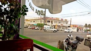 view from the window at Acai Deli and Juice Bar in Tijuana