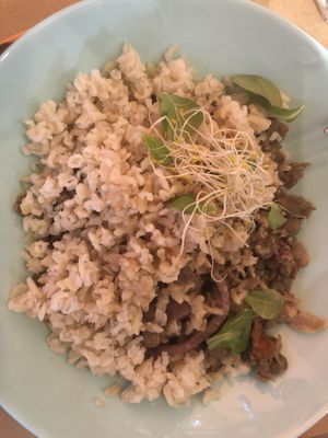 basmati rice with eggplants & lentils at Bio Bento in Barcelona