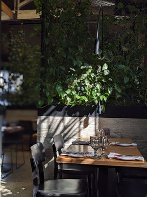  at Transformer Nextdoor in Fitzroy