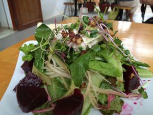 salad  at Backyard Cafe - Riverside in Phnom Penh