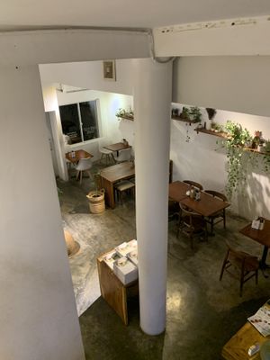 View coming down the stairs from the toilets and upstairs seating. Has a small balcony upstairs which is nicely decorated with plants as is the rest of the establishment.   at Backyard Cafe - Riverside in Phnom Penh