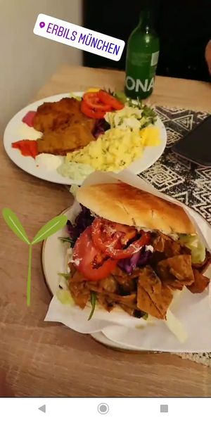 Seitan Döner and Schnitzel Teller  at Erbils in Munich