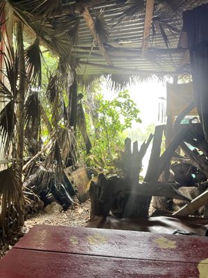   at Just Natural in Negril