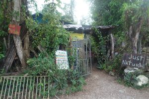 Just Natural Entrance at Just Natural in Negril