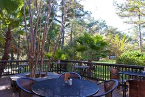 Beautiful porch seating at Season's Harvest Cafe in Cypress