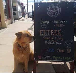 Beautiful girl.  at Willows Plant-Based Eatery in Concord