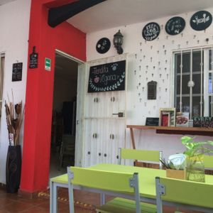 Inside Caribe Vegano at Caribe Vegano in Cancun