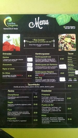 Menu (February 2016) at Caribe Vegano in Cancun