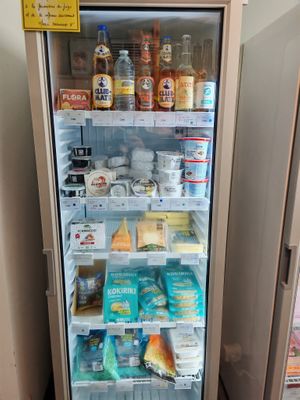 Vegan cheese at Vegetal et Vous (Vivanie Lille) in Lille