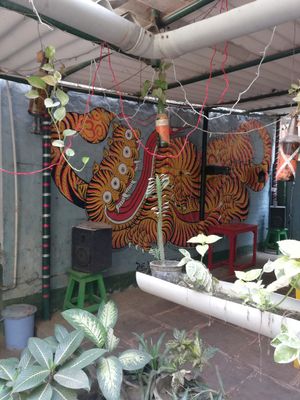 Vegan and raw at Vegan and Raw in Varanasi