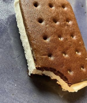 Vegan almond milk “so delicious” ice cream sandwich  at Whole Foods Market in The Woodlands