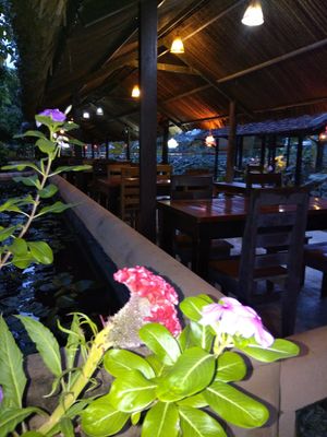 In the evening at Sen Thien Quan in Nha Trang