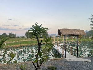   at Sen Thien Quan in Nha Trang