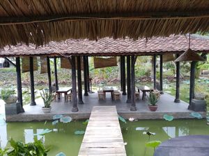 View at Sen Thien Quan in Nha Trang