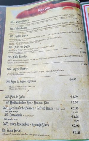 Vegan Menu 2025-06-09 at Hacienda Mexican Restaurant in Kaiserslautern
