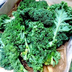 kale at Integral Figueres in Figueres