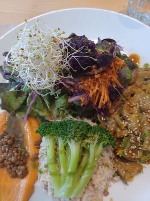 Plato del día con seitán al curry at Integral Figueres in Figueres