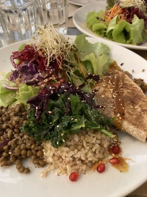   at Integral Figueres in Figueres