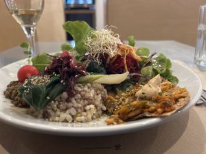 Main course  at Integral Figueres in Figueres