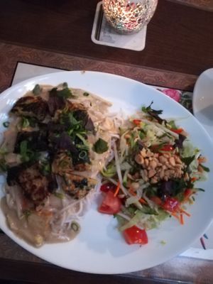 Rice noodles with tofu ans seitan in peanut sauce and side salad at Chay Viet in Dresden