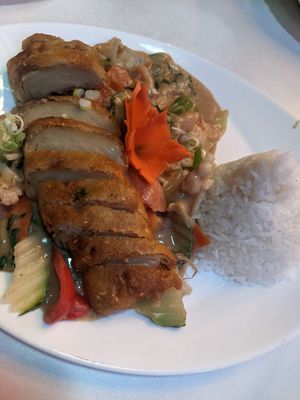Duck with rice, tofu and peanut sauce at Chay Viet in Dresden