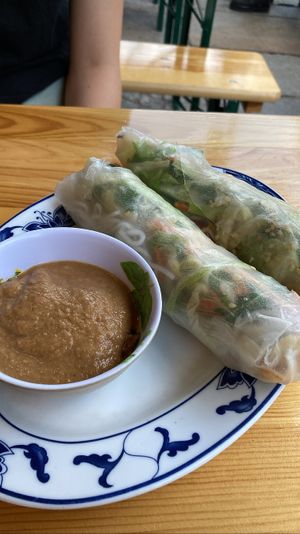 Summer rolls with peanut dip  at Chay Viet in Dresden