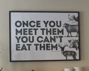 Once you meet them- you can't eat them! at GYVAS baras in Vilnius