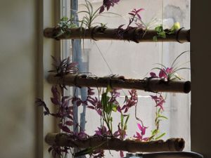 Nice window decoration :)  at Rasa India in Bangalore