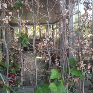 outside at Buy The Way - Ra'anana in Raanana