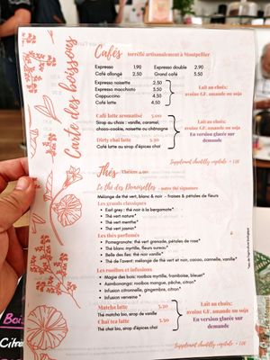 Drinks at Les Demoiselles de Montpellier in Montpellier