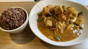 PPC (peanut pumpkin curry)  at Vegan House in Phoenix