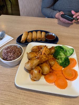 Delicious lunch. Soy Orange Chicken, rice, and veggie rolls. at Vegan House in Phoenix