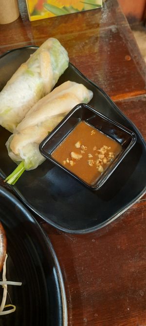 Spring rolls and peanut sauce at V Bites in Bankstown