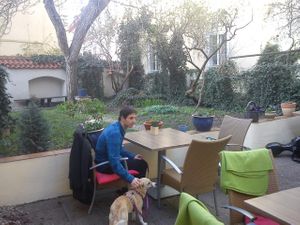 Outdoor seating and the garden at Green Spirit in Prague